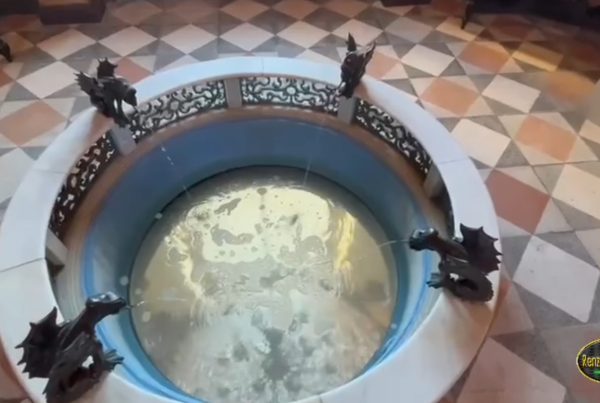 Immagine dall’articolo: Fontana dei Grifi all’interno del castello Miramare di Trieste