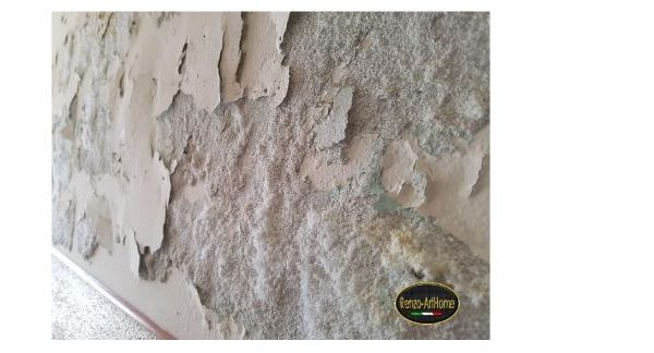 Immagine dall’articolo: Sali nelle murature: cause ed effetti – Renzo Spedicato (Renzo-ArtHome)