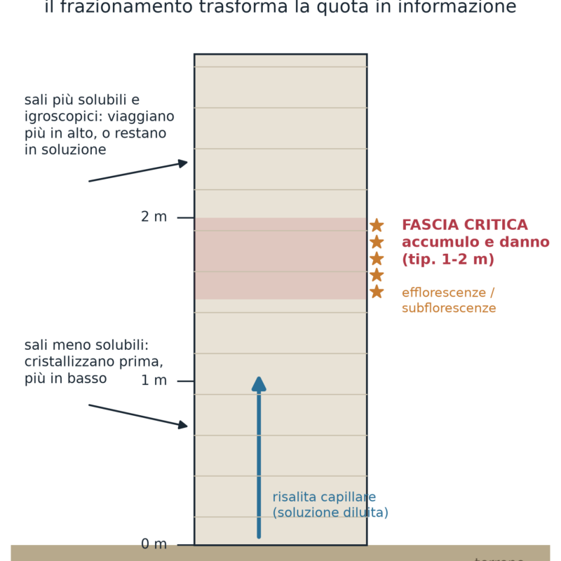 Immagine dall'articolo: Contare i cicli, non i sali