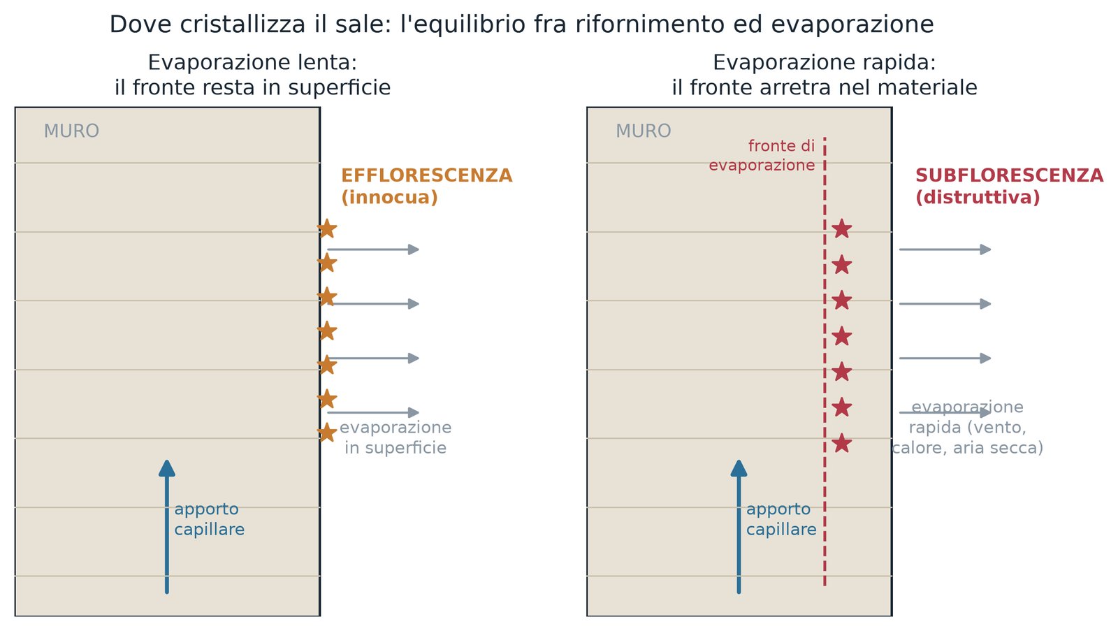 Immagine dall'articolo: Contare i cicli, non i sali