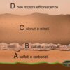 Schema della distribuzione verticale dei sali in una muratura con risalita: zone A, B, C, D