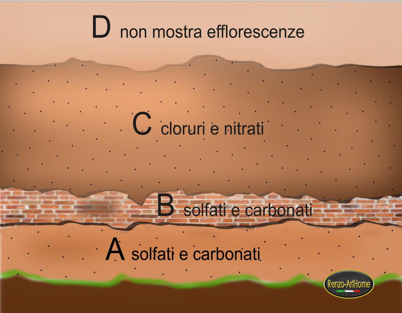 Schema della distribuzione verticale dei sali in una muratura con risalita: zone A, B, C, D