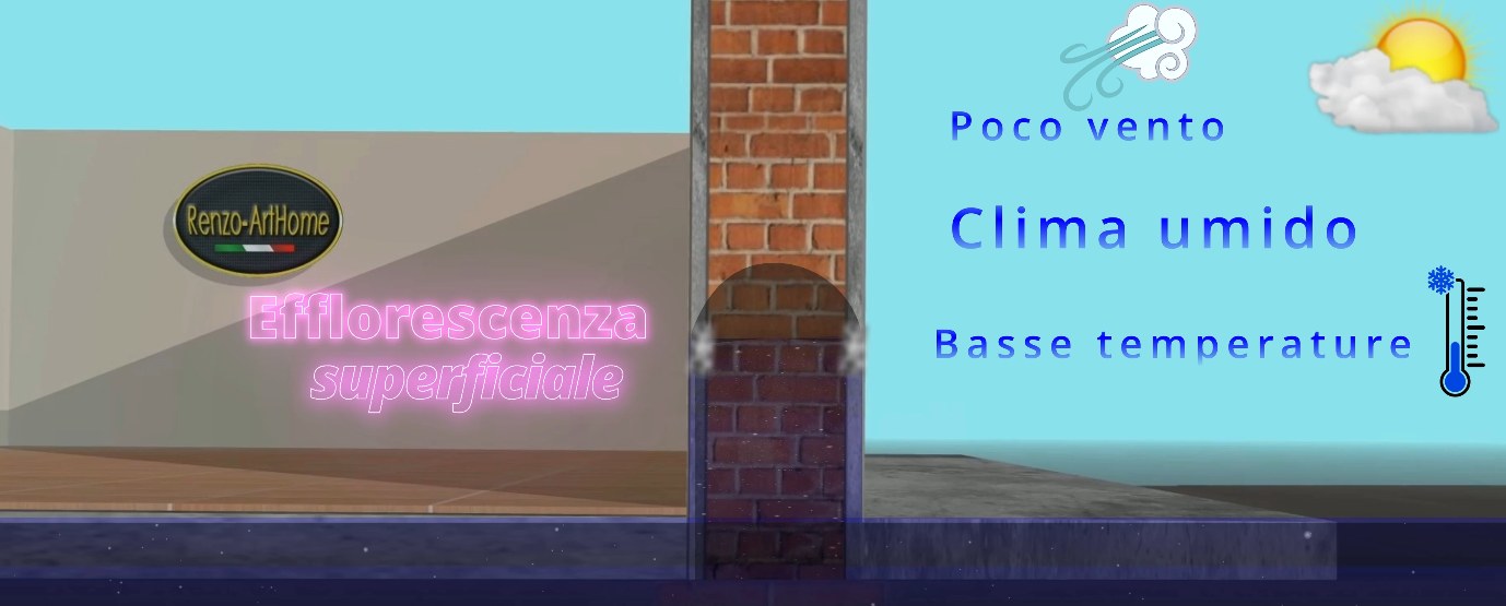 Render: evaporazione lenta, i sali cristallizzano in superficie come efflorescenza