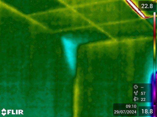 termogramma all'intradosso