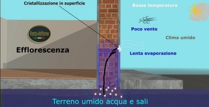 Immagine dall'articolo: Umidità di risalita e sali solubili: perché bloccare l’umidità è solo metà del risanamento, e perché l’asciugatura richiede da mesi ad anni