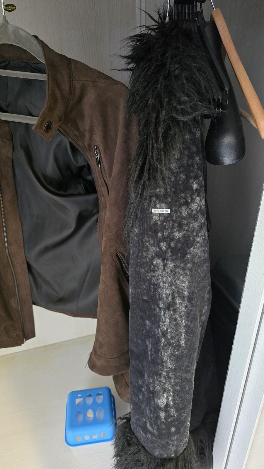 Giubbino di tessuto con patina grigia di muffa dentro un armadio, con vaschetta assorbiumidità sul ripiano