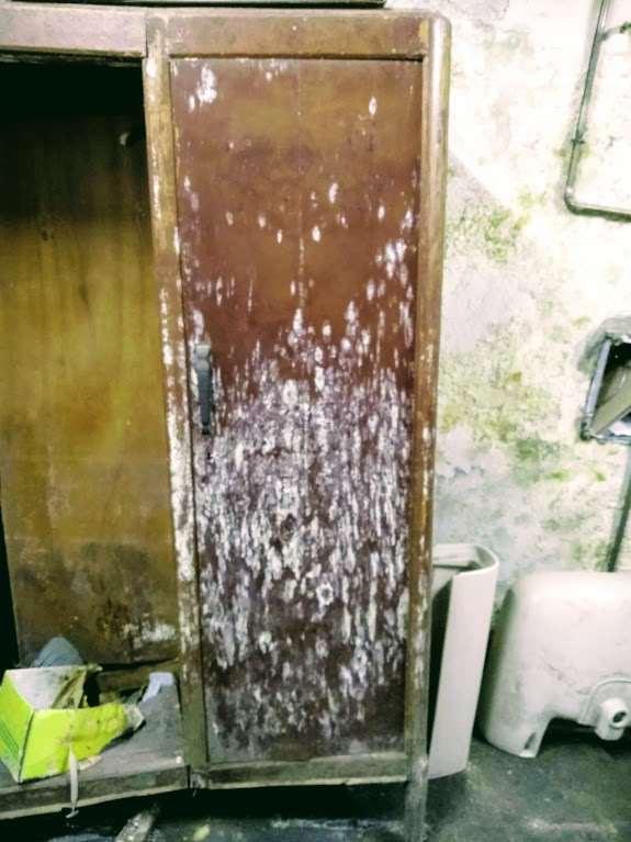 Mobile di legno in un interrato con muffa biancastra più densa nella metà inferiore dell'anta