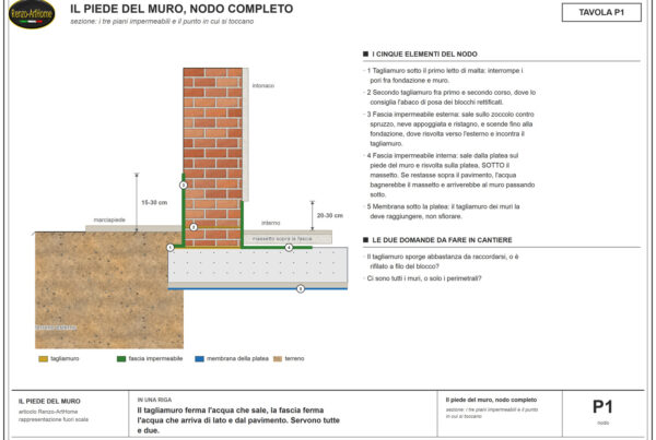 Sezione del piede del muro con tagliamuro, fascia impermeabile esterna e interna, membrana della platea
