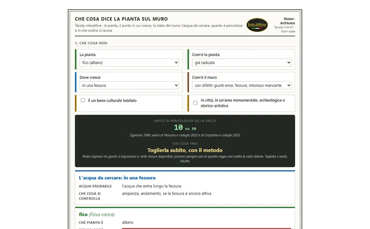 Che cosa dice la pianta sul muro: anteprima della tavola interattiva