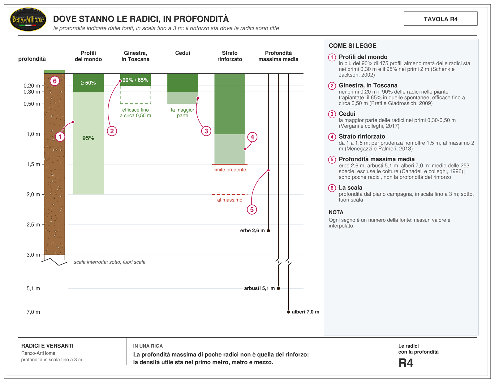 Grafico delle profondità delle radici su una scala in metri: almeno metà delle radici nei primi 30 centimetri in più del 90 per cento dei profili, il 95 per cento entro 2 metri, lo strato rinforzato fra 1 e 1,5 metri e le profondità massime medie di erbe, arbusti e alberi