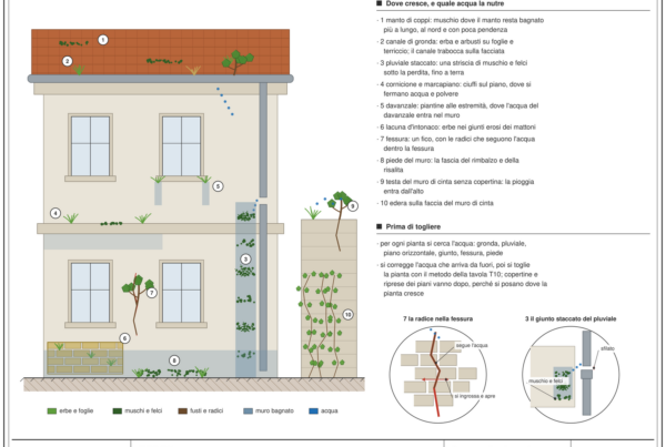 Prospetto di una casa in muratura e del muro di cinta con dieci punti numerati: il muschio sul manto di coppi, l'erba e un arbusto nel canale di gronda, la striscia di muschio e felci sotto il giunto staccato del pluviale, i ciuffi sul cornicione e sul marcapiano, le piantine alle estremità di un davanzale, le erbe nei giunti di una lacuna d'intonaco, un fico in una fessura, la fascia al piede del muro, un alberello sulla testa del muro di cinta e l'edera sulla sua faccia; a destra due dettagli, la radice che segue l'acqua nella fessura e il giunto sfilato del pluviale