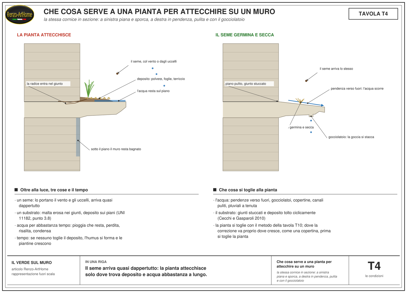Tavola con la stessa cornice di pietra in sezione, due volte: a sinistra con il piano orizzontale sporco di polvere, foglie e terriccio, l'acqua ferma sul piano, un seme che arriva e un ciuffo d'erba con la radice che entra nel giunto fra cornice e muro, e sotto il piano la faccia del muro bagnata; a destra la cornice con il piano in pendenza verso fuori, pulita, con il giunto stuccato e il gocciolatoio che fa staccare la goccia, e il seme che germina e secca; sotto, le tre cose che servono alla pianta oltre alla luce, il tempo, e che cosa le si toglie